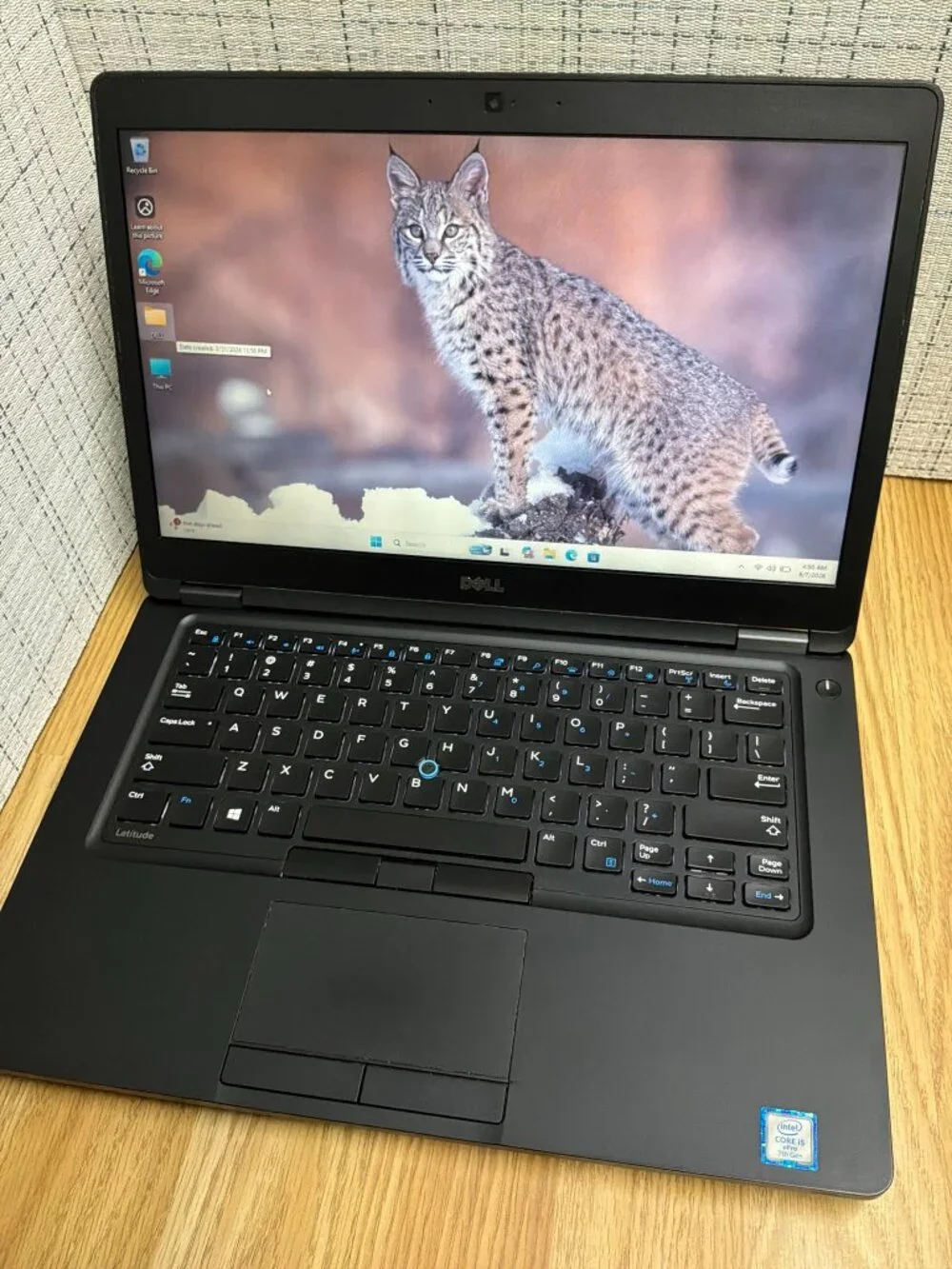 Dell Latitude 5480 14
